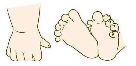 广州借卵代生机构（手指再造术多少钱 手指再造成功率有多少 顺德和平医院）