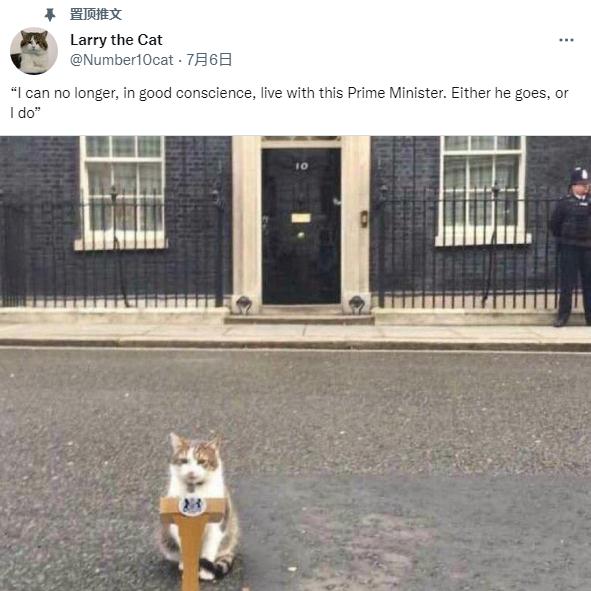 图片来源：英国首席捕鼠官拉里(Larry)官方账号截图。