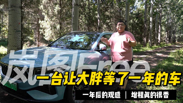 大胖换个角度在一年后细细品味岚图Free