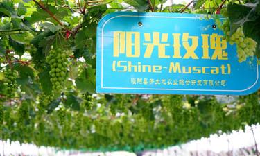 惊心动魄!柳州2岁幼童被卡防盗网,三名建筑工人徒手爬楼施救休闲区蓝鸢梦想 - Www.slyday.coM 惊心动魄!柳州2岁幼童被卡防盗网,三名建筑工人徒手爬楼施救休闲区蓝鸢梦想 - Www.slyday.coM