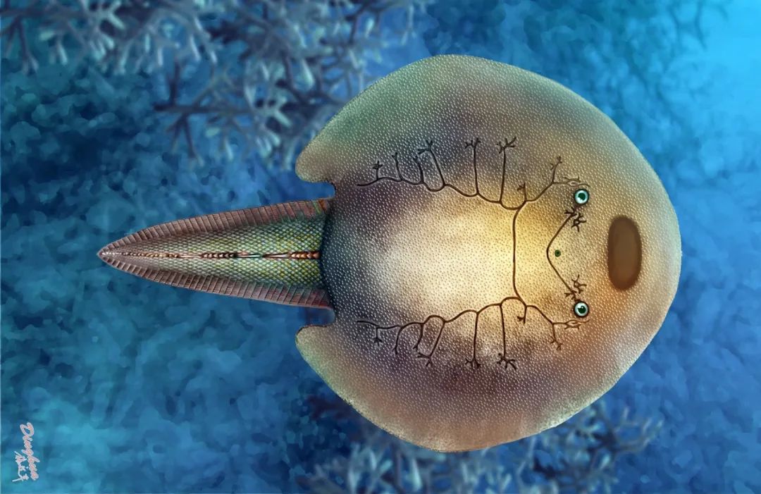 东方鱼生态复原图。图片由中科院古脊椎所提供杨定华绘