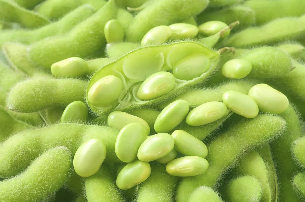 比牛奶补钙、比核桃补脑、比柑橘VC高?这些隐藏的“营养王者”藏不住了休闲区蓝鸢梦想 - Www.slyday.coM 比牛奶补钙、比核桃补脑、比柑橘VC高?这些隐藏的“营养王者”藏不住了休闲区蓝鸢梦想 - Www.slyday.coM