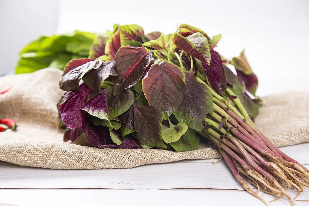 比牛奶补钙、比核桃补脑、比柑橘VC高?这些隐藏的“营养王者”藏不住了休闲区蓝鸢梦想 - Www.slyday.coM 比牛奶补钙、比核桃补脑、比柑橘VC高?这些隐藏的“营养王者”藏不住了休闲区蓝鸢梦想 - Www.slyday.coM