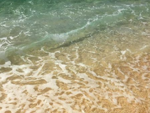 《游戏王》作者被发现戴潜水设备死于海中 死因公布休闲区蓝鸢梦想 - Www.slyday.coM 《游戏王》作者被发现戴潜水设备死于海中 死因公布休闲区蓝鸢梦想 - Www.slyday.coM