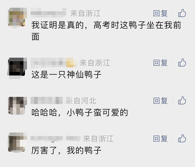 一只鸭子被鱼吓到,竟独自坐电梯回家了!休闲区蓝鸢梦想 - Www.slyday.coM 一只鸭子被鱼吓到,竟独自坐电梯回家了!休闲区蓝鸢梦想 - Www.slyday.coM