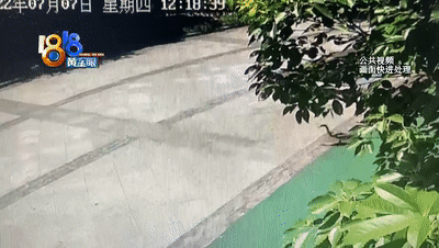 一只鸭子被鱼吓到,竟独自坐电梯回家了!休闲区蓝鸢梦想 - Www.slyday.coM 一只鸭子被鱼吓到,竟独自坐电梯回家了!休闲区蓝鸢梦想 - Www.slyday.coM