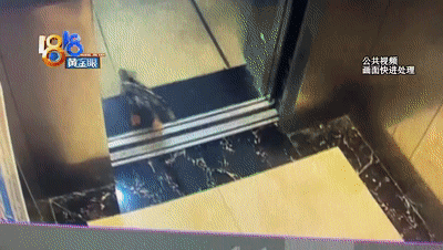 一只鸭子被鱼吓到,竟独自坐电梯回家了!休闲区蓝鸢梦想 - Www.slyday.coM 一只鸭子被鱼吓到,竟独自坐电梯回家了!休闲区蓝鸢梦想 - Www.slyday.coM