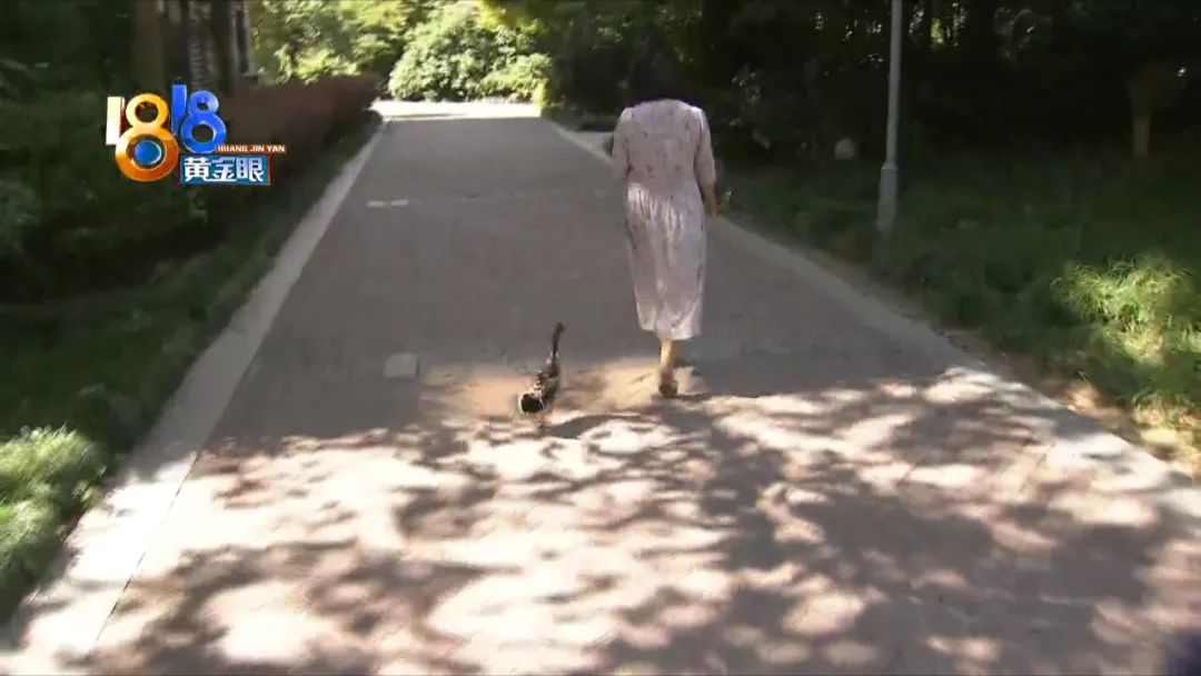 一只鸭子被鱼吓到,竟独自坐电梯回家了!休闲区蓝鸢梦想 - Www.slyday.coM 一只鸭子被鱼吓到,竟独自坐电梯回家了!休闲区蓝鸢梦想 - Www.slyday.coM