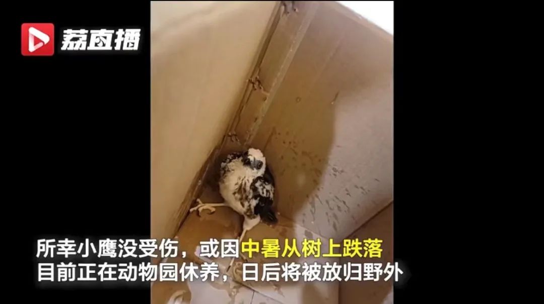 热搜刷屏!警惕这种病,多地多人确诊,已有人死亡休闲区蓝鸢梦想 - Www.slyday.coM 热搜刷屏!警惕这种病,多地多人确诊,已有人死亡休闲区蓝鸢梦想 - Www.slyday.coM