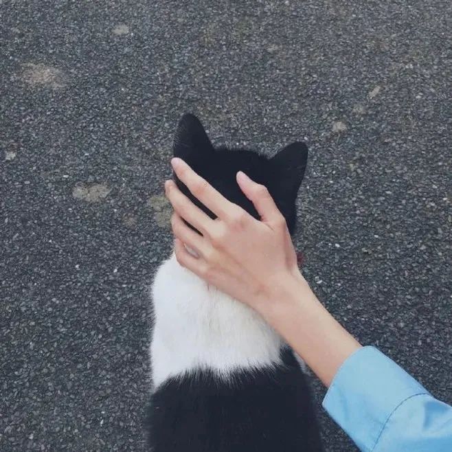 ����Ϊ�ˣ�������Ȥ��