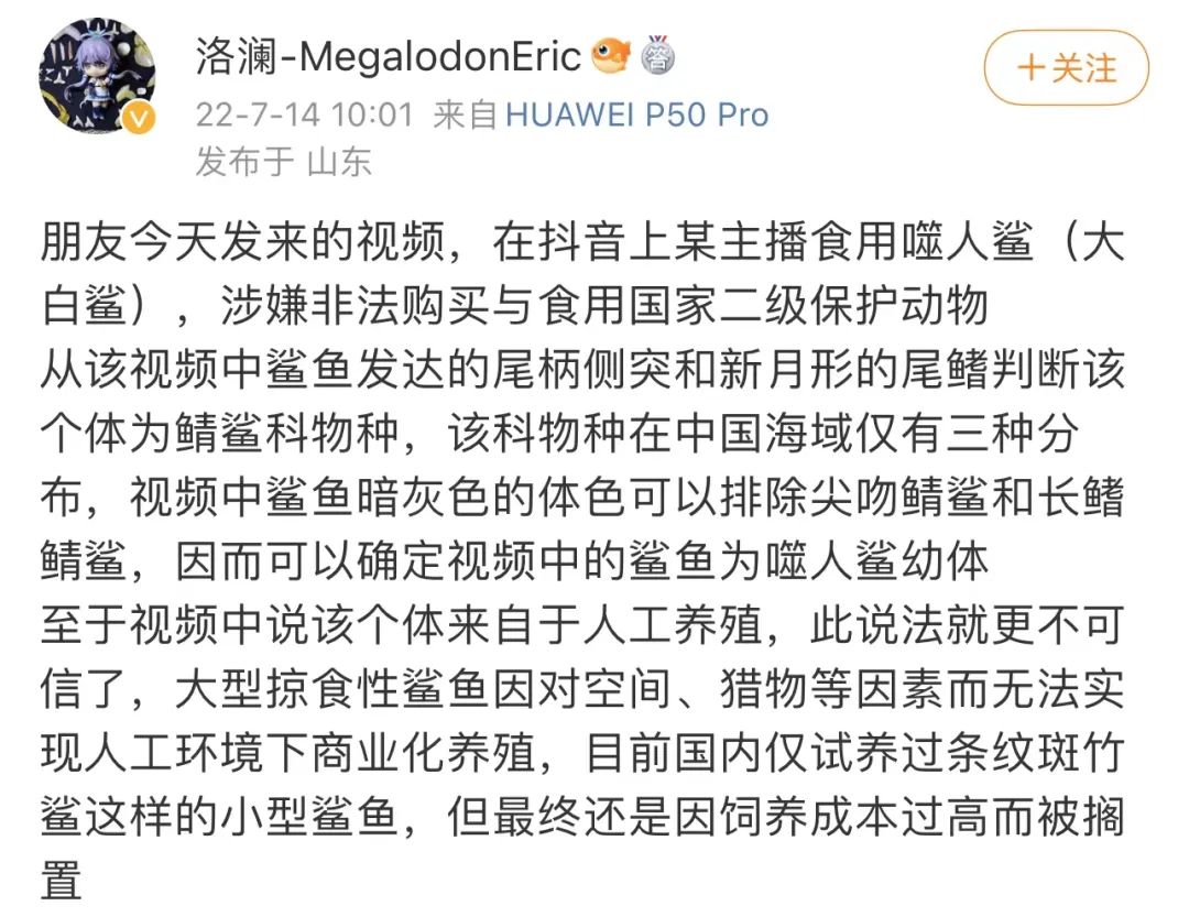 无知还是无畏?网红疑用濒危大白鲨做美食,还吃过鸵鸟、鳄鱼幼崽、娃娃鱼…休闲区蓝鸢梦想 - Www.slyday.coM 无知还是无畏?网红疑用濒危大白鲨做美食,还吃过鸵鸟、鳄鱼幼崽、娃娃鱼…休闲区蓝鸢梦想 - Www.slyday.coM