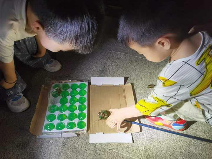 让他们体会我小时候的快乐,杭州爸爸带着两娃抓了200多只知了,后来还……休闲区蓝鸢梦想 - Www.slyday.coM 让他们体会我小时候的快乐,杭州爸爸带着两娃抓了200多只知了,后来还……休闲区蓝鸢梦想 - Www.slyday.coM