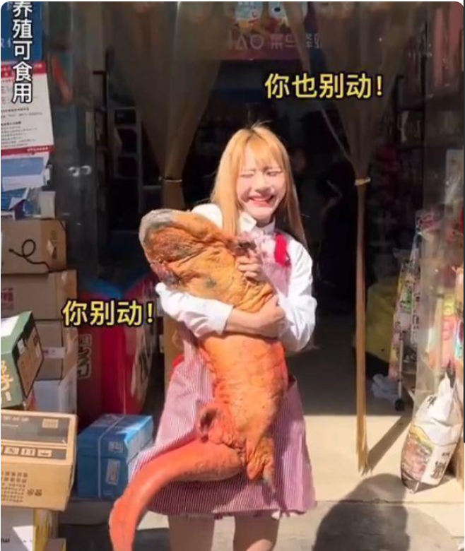 网红主播用濒危大白鲨做烧烤?“吃播”下嘴不能无下限休闲区蓝鸢梦想 - Www.slyday.coM 网红主播用濒危大白鲨做烧烤?“吃播”下嘴不能无下限休闲区蓝鸢梦想 - Www.slyday.coM