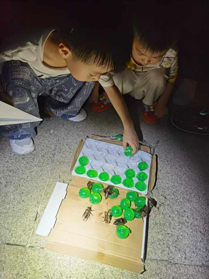 让他们体会我小时候的快乐,杭州爸爸带着两娃抓了200多只知了,后来还……休闲区蓝鸢梦想 - Www.slyday.coM 让他们体会我小时候的快乐,杭州爸爸带着两娃抓了200多只知了,后来还……休闲区蓝鸢梦想 - Www.slyday.coM