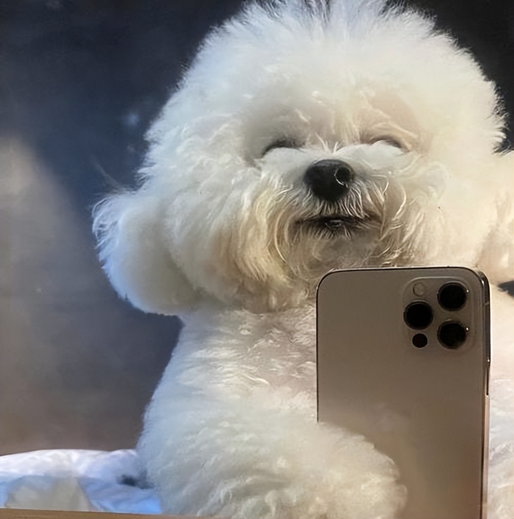 包小妹24小时服务电话全指南，详尽攻略与真实分享