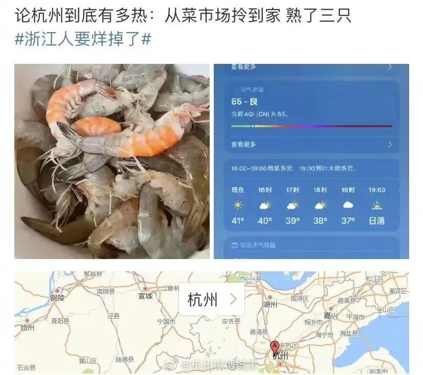 车祸撞断6根肋骨,也要跑到树荫下!男子冲上热搜第一!休闲区蓝鸢梦想 - Www.slyday.coM 车祸撞断6根肋骨,也要跑到树荫下!男子冲上热搜第一!休闲区蓝鸢梦想 - Www.slyday.coM