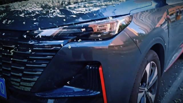 落花不是无情物，化作车衣保护她。 美美的享受周末吧~