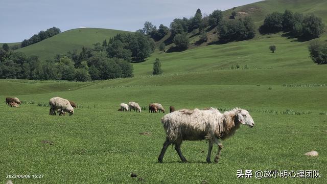 赵小明:为什么你的孩子总是考不好?父母陪读没做对休闲区蓝鸢梦想 - Www.slyday.coM 赵小明:为什么你的孩子总是考不好?父母陪读没做对休闲区蓝鸢梦想 - Www.slyday.coM