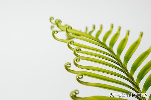 赵小明:为什么你的孩子总是考不好?父母陪读没做对休闲区蓝鸢梦想 - Www.slyday.coM 赵小明:为什么你的孩子总是考不好?父母陪读没做对休闲区蓝鸢梦想 - Www.slyday.coM