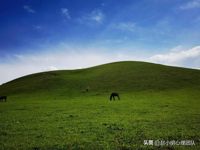 赵小明:为什么你的孩子总是考不好?父母陪读没做对休闲区蓝鸢梦想 - Www.slyday.coM 赵小明:为什么你的孩子总是考不好?父母陪读没做对休闲区蓝鸢梦想 - Www.slyday.coM