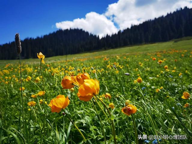 赵小明:为什么你的孩子总是考不好?父母陪读没做对休闲区蓝鸢梦想 - Www.slyday.coM 赵小明:为什么你的孩子总是考不好?父母陪读没做对休闲区蓝鸢梦想 - Www.slyday.coM