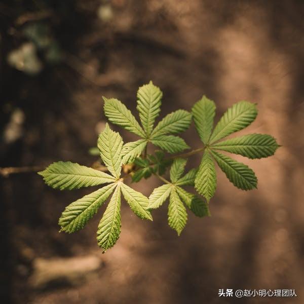 赵小明:为什么你的孩子总是考不好?父母陪读没做对休闲区蓝鸢梦想 - Www.slyday.coM 赵小明:为什么你的孩子总是考不好?父母陪读没做对休闲区蓝鸢梦想 - Www.slyday.coM