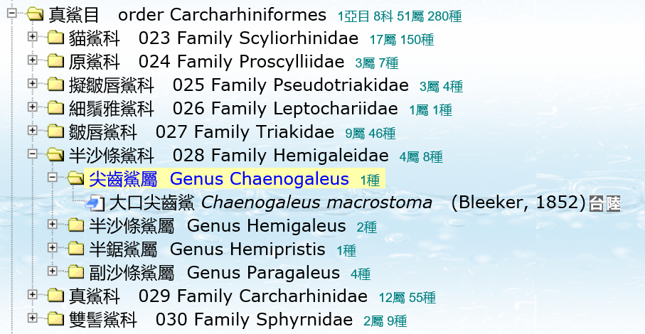网红主播吃大白鲨?这可太“刑”了!休闲区蓝鸢梦想 - Www.slyday.coM 网红主播吃大白鲨?这可太“刑”了!休闲区蓝鸢梦想 - Www.slyday.coM