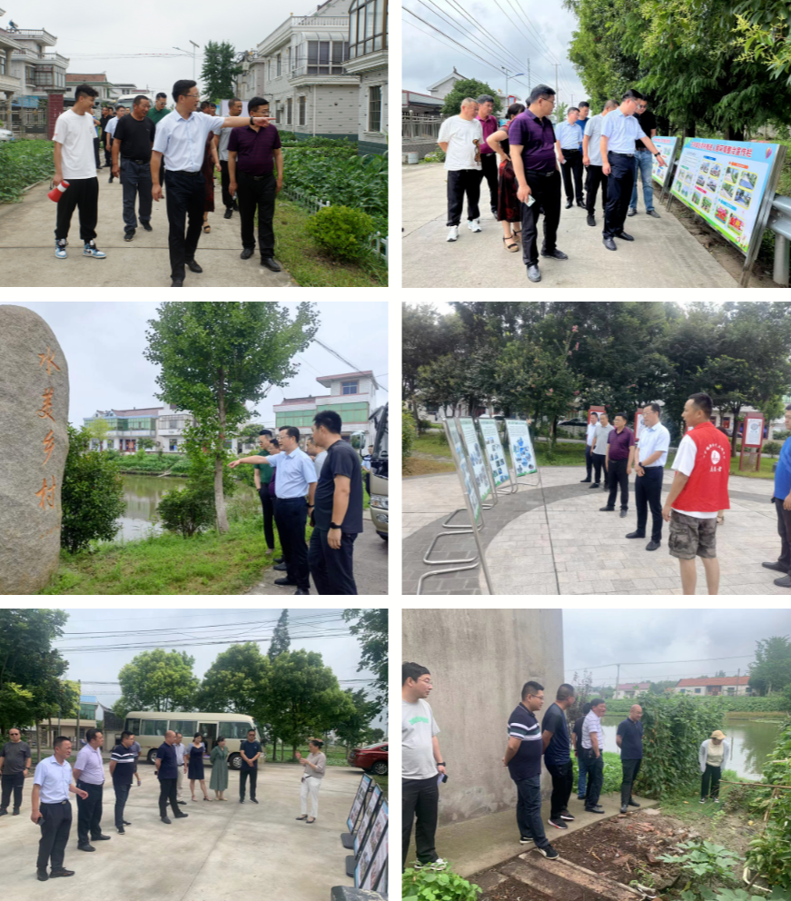 看现场查问题抓提升西亭镇文明城市长效管理暨人居环境整治提升现场