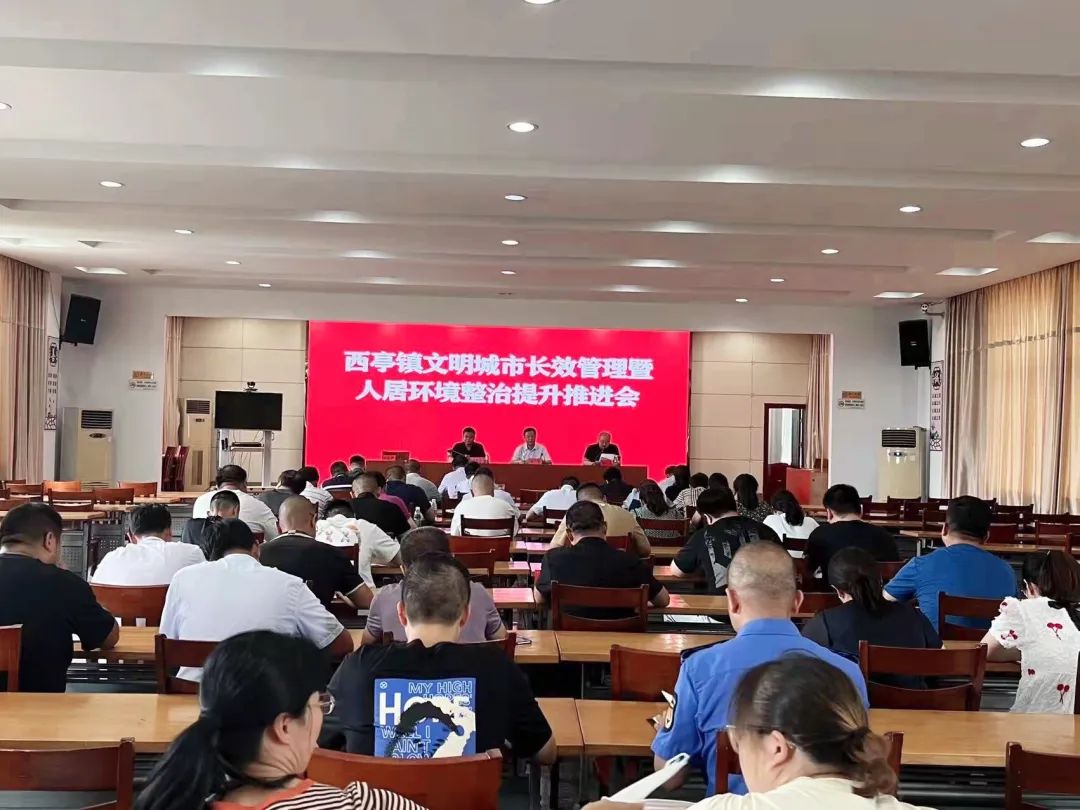 看现场查问题抓提升西亭镇文明城市长效管理暨人居环境整治提升现场