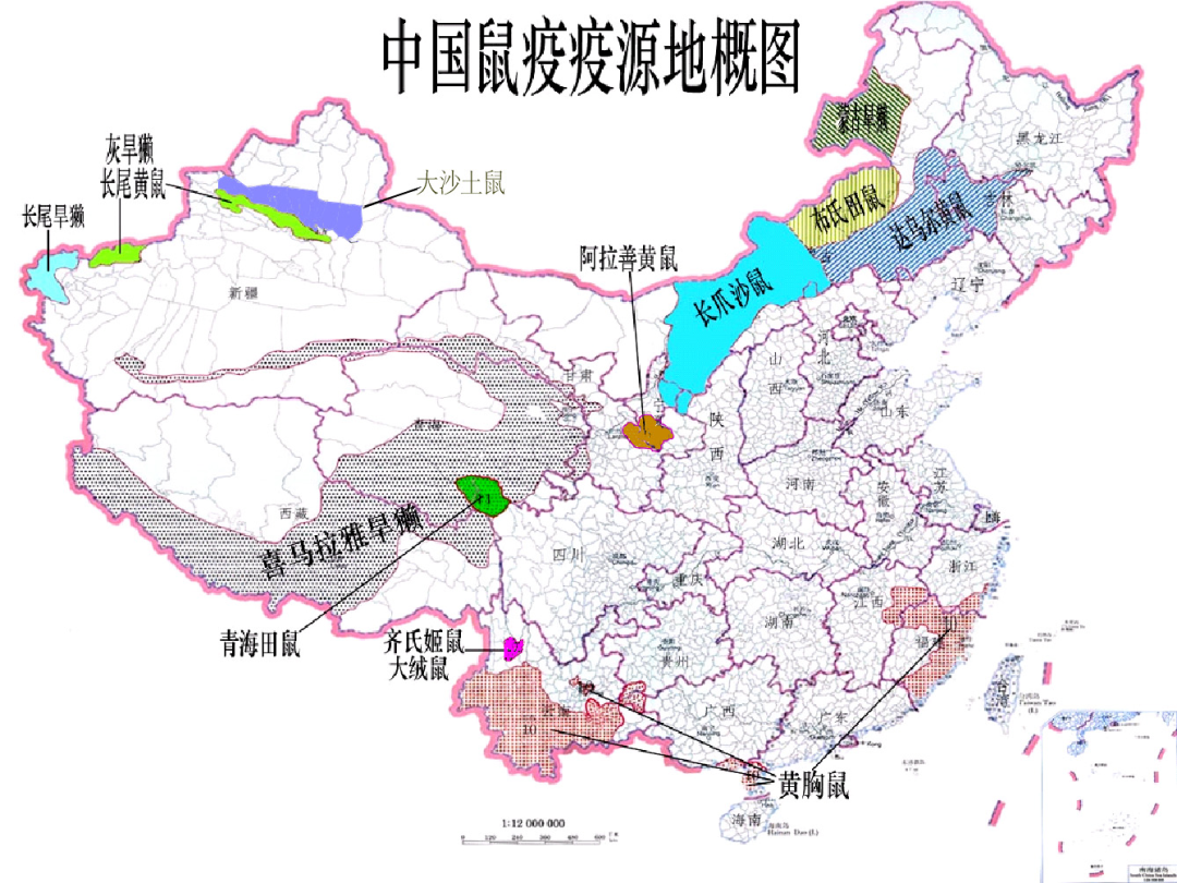 银川市确诊一例输入性鼠疫病例有关鼠疫这些知识要了解