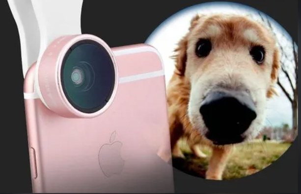 最低两位数,如何最快拉近你与自媒体博主的距离休闲区蓝鸢梦想 - Www.slyday.coM 最低两位数,如何最快拉近你与自媒体博主的距离休闲区蓝鸢梦想 - Www.slyday.coM