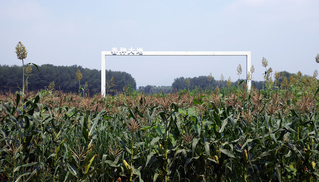 除采摘外,还有一人多高迷宫!北京丰台怪村把玉米玩出了花儿休闲区蓝鸢梦想 - Www.slyday.coM 除采摘外,还有一人多高迷宫!北京丰台怪村把玉米玩出了花儿休闲区蓝鸢梦想 - Www.slyday.coM