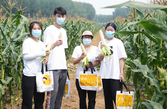 除采摘外,还有一人多高迷宫!北京丰台怪村把玉米玩出了花儿休闲区蓝鸢梦想 - Www.slyday.coM 除采摘外,还有一人多高迷宫!北京丰台怪村把玉米玩出了花儿休闲区蓝鸢梦想 - Www.slyday.coM