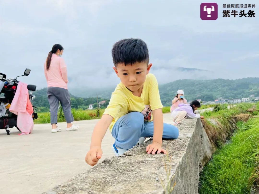 【紫牛头条】骑电动自行车跨越1400公里,90后夫妻带一双儿女去广州看“奥特曼”休闲区蓝鸢梦想 - Www.slyday.coM 【紫牛头条】骑电动自行车跨越1400公里,90后夫妻带一双儿女去广州看“奥特曼”休闲区蓝鸢梦想 - Www.slyday.coM