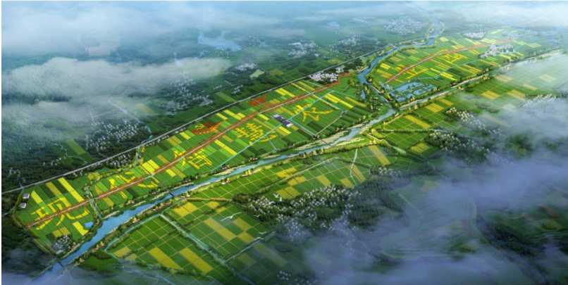 专家解析：花社区广州官网2025年花社区广州官网最新动态及官方服务全面解读