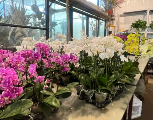 最近,杭州这个宝藏市场有点火!年轻人也开始爱往这里钻,最火的东西你有点想不到……休闲区蓝鸢梦想 - Www.slyday.coM 最近,杭州这个宝藏市场有点火!年轻人也开始爱往这里钻,最火的东西你有点想不到……休闲区蓝鸢梦想 - Www.slyday.coM