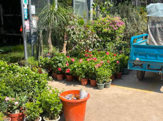 最近,杭州这个宝藏市场有点火!年轻人也开始爱往这里钻,最火的东西你有点想不到……休闲区蓝鸢梦想 - Www.slyday.coM 最近,杭州这个宝藏市场有点火!年轻人也开始爱往这里钻,最火的东西你有点想不到……休闲区蓝鸢梦想 - Www.slyday.coM