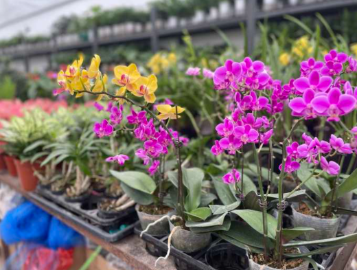 最近,杭州这个宝藏市场有点火!年轻人也开始爱往这里钻,最火的东西你有点想不到……休闲区蓝鸢梦想 - Www.slyday.coM 最近,杭州这个宝藏市场有点火!年轻人也开始爱往这里钻,最火的东西你有点想不到……休闲区蓝鸢梦想 - Www.slyday.coM