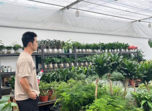 最近,杭州这个宝藏市场有点火!年轻人也开始爱往这里钻,最火的东西你有点想不到……休闲区蓝鸢梦想 - Www.slyday.coM 最近,杭州这个宝藏市场有点火!年轻人也开始爱往这里钻,最火的东西你有点想不到……休闲区蓝鸢梦想 - Www.slyday.coM