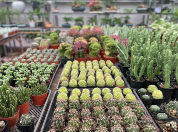 最近,杭州这个宝藏市场有点火!年轻人也开始爱往这里钻,最火的东西你有点想不到……休闲区蓝鸢梦想 - Www.slyday.coM 最近,杭州这个宝藏市场有点火!年轻人也开始爱往这里钻,最火的东西你有点想不到……休闲区蓝鸢梦想 - Www.slyday.coM