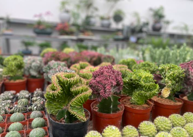 最近,杭州这个宝藏市场有点火!年轻人也开始爱往这里钻,最火的东西你有点想不到……休闲区蓝鸢梦想 - Www.slyday.coM 最近,杭州这个宝藏市场有点火!年轻人也开始爱往这里钻,最火的东西你有点想不到……休闲区蓝鸢梦想 - Www.slyday.coM