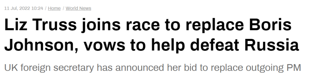 《今日俄罗斯》报道标题截图。