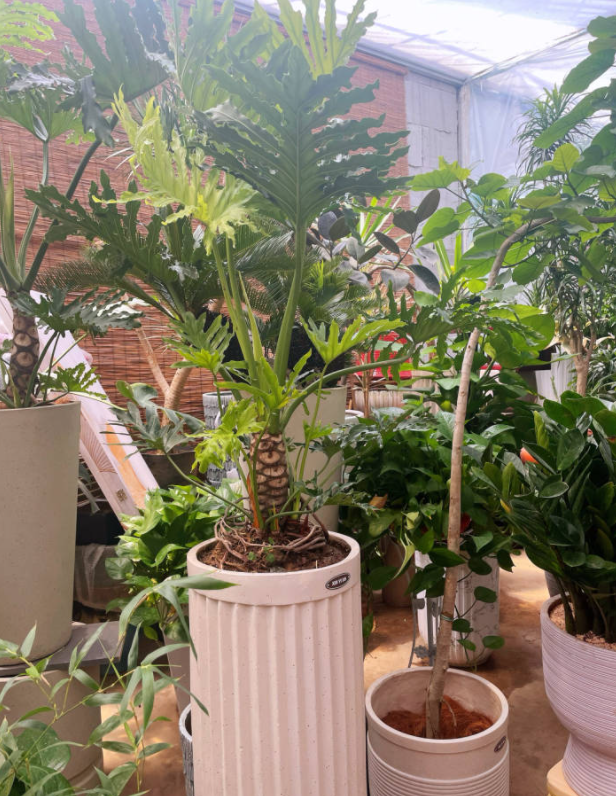 最近,杭州这个宝藏市场有点火!年轻人也开始爱往这里钻,最火的东西你有点想不到……休闲区蓝鸢梦想 - Www.slyday.coM 最近,杭州这个宝藏市场有点火!年轻人也开始爱往这里钻,最火的东西你有点想不到……休闲区蓝鸢梦想 - Www.slyday.coM