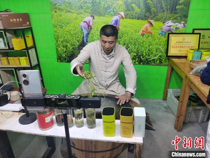 【十年@每一个奋斗的你】浙江衢州“网红”茶农胡宏伟:黄茶绘就乡村共富新图景插图 【十年@每一个奋斗的你】浙江衢州“网红”茶农胡宏伟:黄茶绘就乡村共富新图景插图