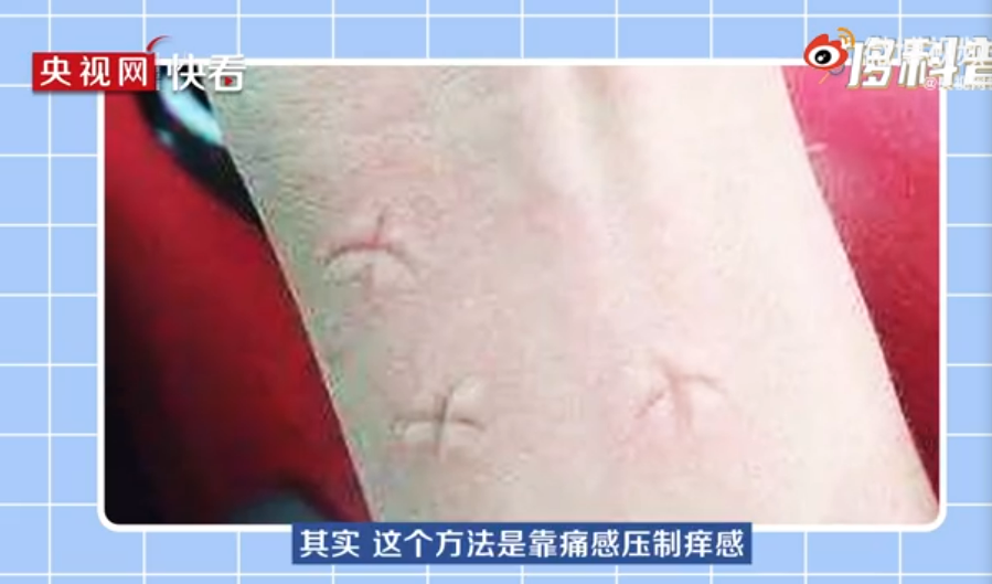 c0b3-600f669b68e4c9cc3f7de5f87f34b56c.png