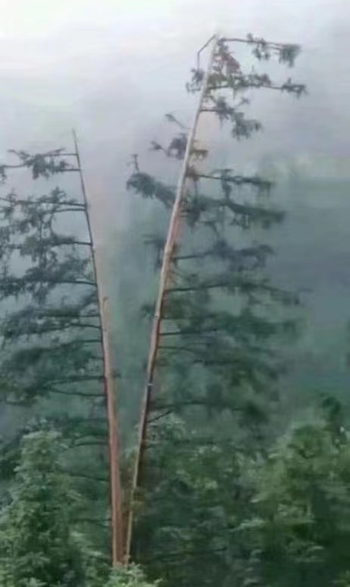 《猫和老鼠》果然是部纪录片!这25张图快把我笑死休闲区蓝鸢梦想 - Www.slyday.coM 《猫和老鼠》果然是部纪录片!这25张图快把我笑死休闲区蓝鸢梦想 - Www.slyday.coM