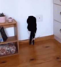 《猫和老鼠》果然是部纪录片!这25张图快把我笑死休闲区蓝鸢梦想 - Www.slyday.coM 《猫和老鼠》果然是部纪录片!这25张图快把我笑死休闲区蓝鸢梦想 - Www.slyday.coM