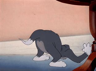 《猫和老鼠》果然是部纪录片!这25张图快把我笑死休闲区蓝鸢梦想 - Www.slyday.coM 《猫和老鼠》果然是部纪录片!这25张图快把我笑死休闲区蓝鸢梦想 - Www.slyday.coM