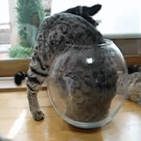 《猫和老鼠》果然是部纪录片!这25张图快把我笑死休闲区蓝鸢梦想 - Www.slyday.coM 《猫和老鼠》果然是部纪录片!这25张图快把我笑死休闲区蓝鸢梦想 - Www.slyday.coM