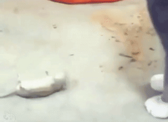 《猫和老鼠》果然是部纪录片!这25张图快把我笑死休闲区蓝鸢梦想 - Www.slyday.coM 《猫和老鼠》果然是部纪录片!这25张图快把我笑死休闲区蓝鸢梦想 - Www.slyday.coM